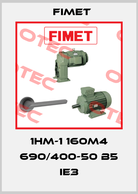 1HM-1 160M4 690/400-50 B5 IE3 Fimet