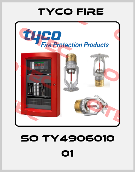 SO TY4906010 01 Tyco Fire