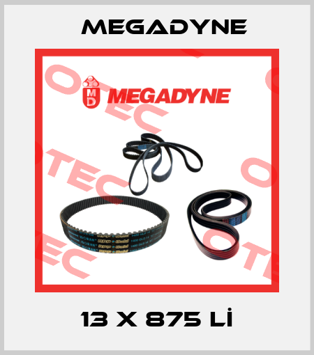 13 X 875 Lİ Megadyne