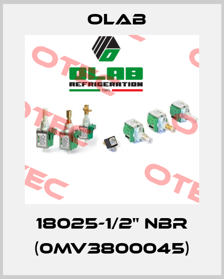 18025-1/2" NBR (0MV3800045) Olab