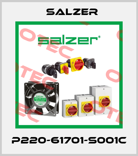 P220-61701-S001C Salzer