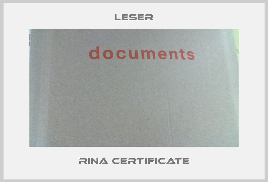 Rina Certificate-big