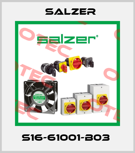 S16-61001-B03  Salzer