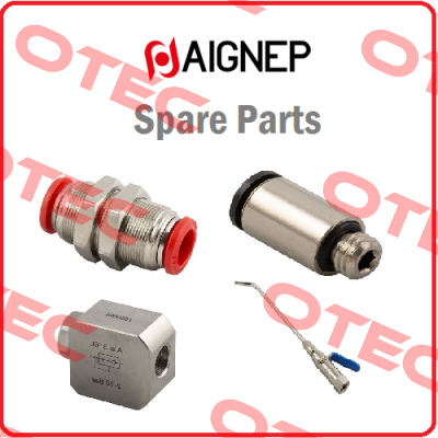 G1/4-1/4  L51  2070-1/4 Aignep