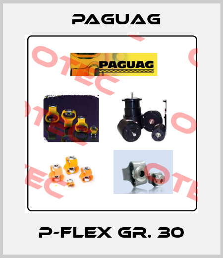 P-Flex Gr. 30 Paguag
