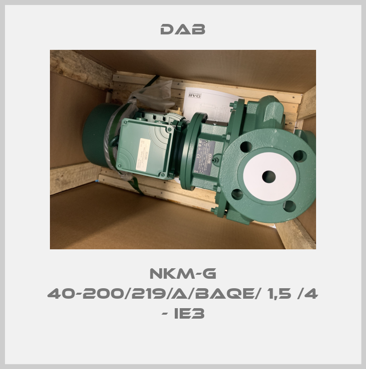 NKM-G 40-200/219/A/BAQE/ 1,5 /4 - IE3-big
