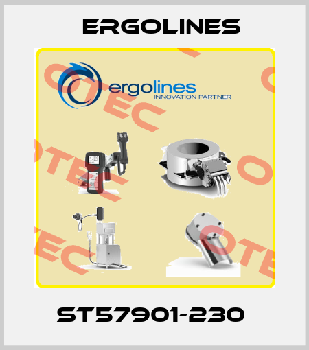 ST57901-230  Ergolines