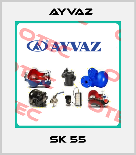 SK 55 Ayvaz