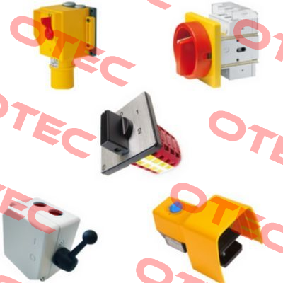EV2N-S8 B1-HS OEM Elektra Tailfingen