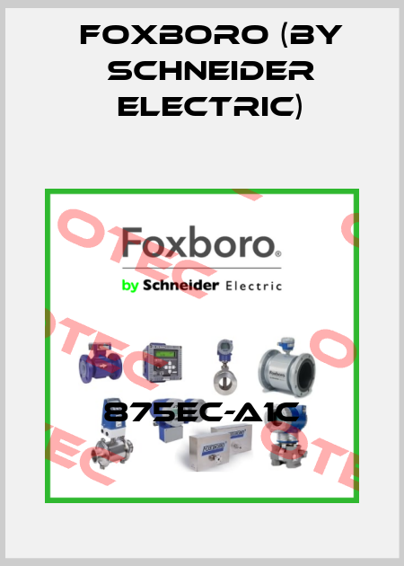 875EC-A1C Foxboro (by Schneider Electric)