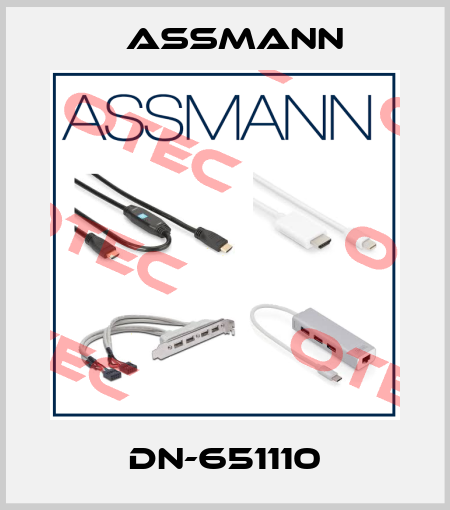 DN-651110 Assmann