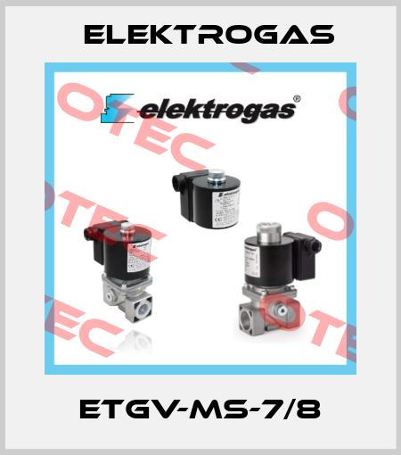 ETGV-MS-7/8 Elektrogas