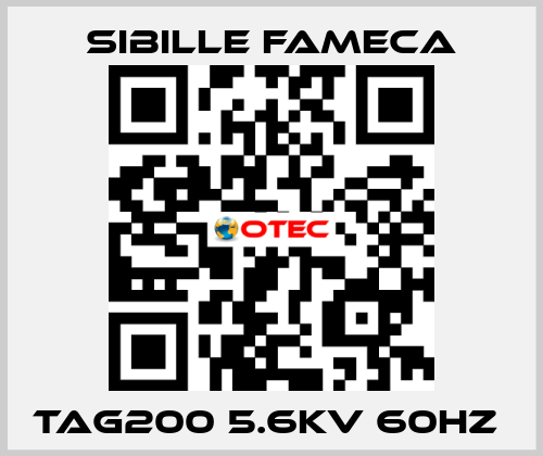 TAG200 5.6KV 60HZ  Sibille Fameca