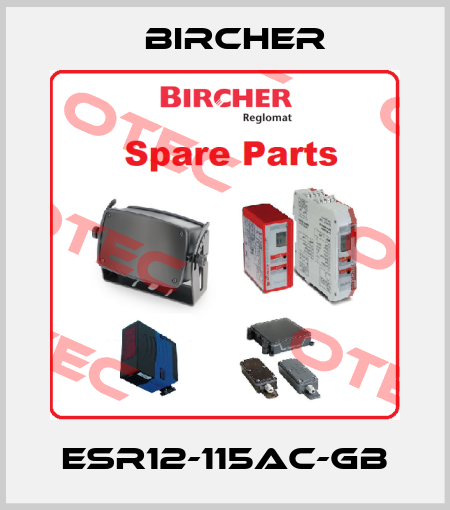 ESR12-115AC-GB Bircher