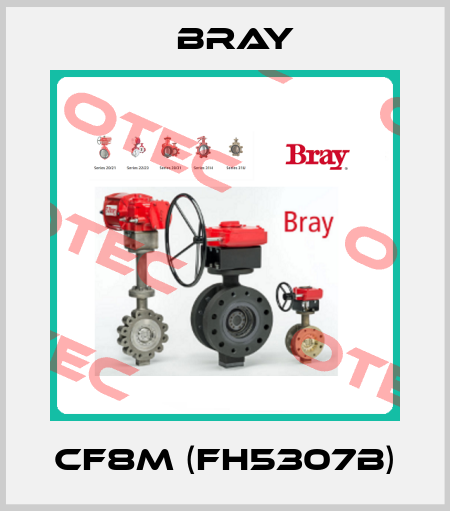 CF8M (FH5307B) Bray