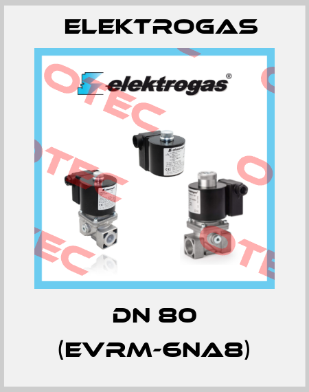 DN 80 (EVRM-6NA8) Elektrogas
