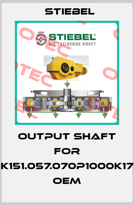 Output Shaft for K151.057.070P1000K17 OEM Stiebel