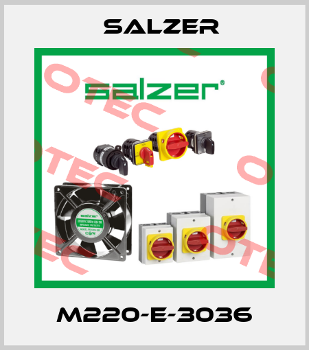 M220-E-3036 Salzer