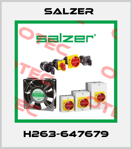 H263-647679 Salzer