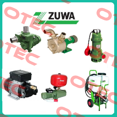 13131136421A Zuwa