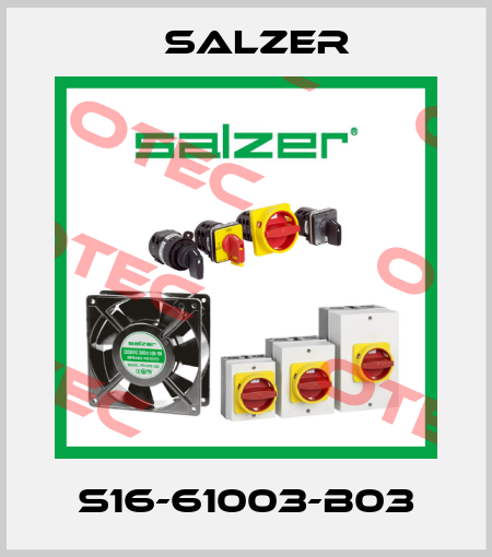 S16-61003-B03 Salzer