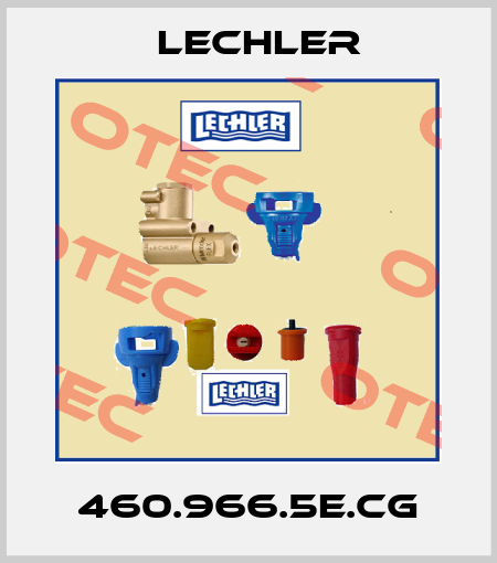 460.966.5E.CG Lechler