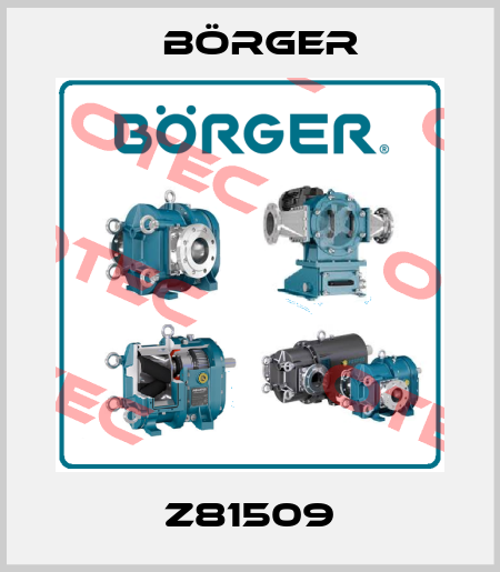 Z81509 Börger