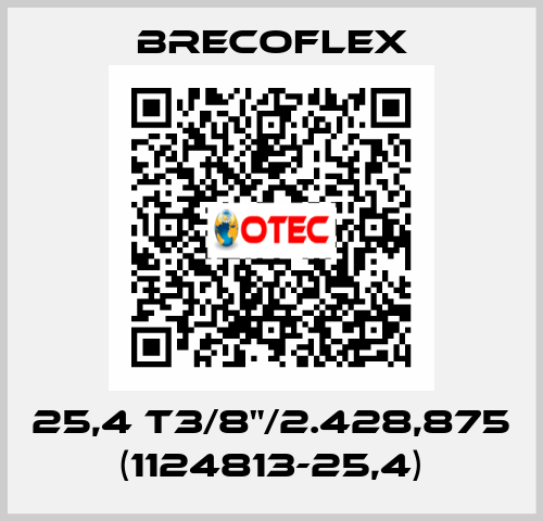 25,4 T3/8"/2.428,875 (1124813-25,4) Brecoflex