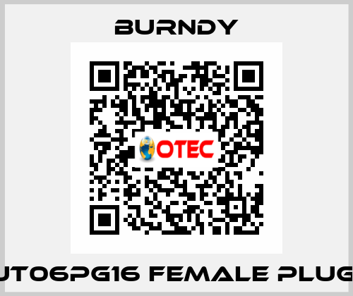 UT06PG16 FEMALE PLUG  Burndy