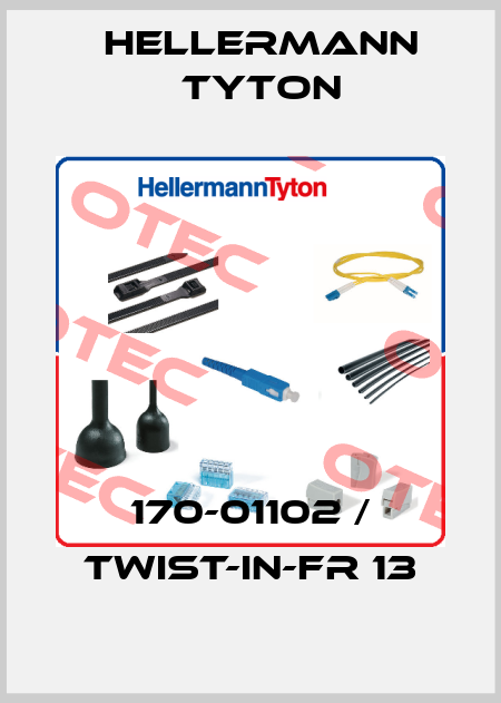170-01102 / TWIST-IN-FR 13 Hellermann Tyton