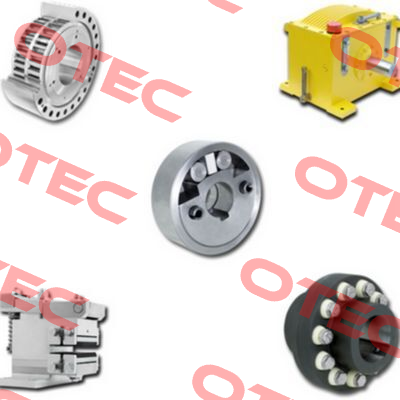 4884-050111-025H33 / FGR 25 R A1A2 Ringspann