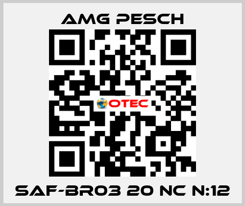 SAF-BR03 20 NC n:12 AMG Pesch