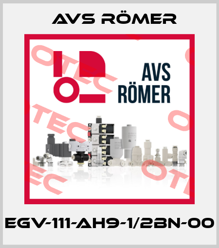 EGV-111-AH9-1/2BN-00 Avs Römer