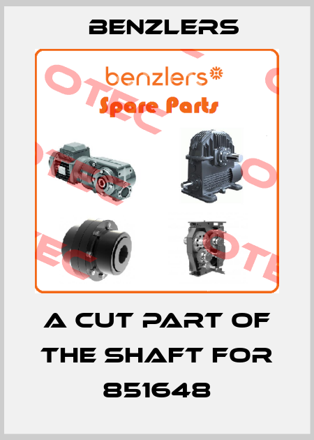 a cut part of the shaft for 851648 Benzlers