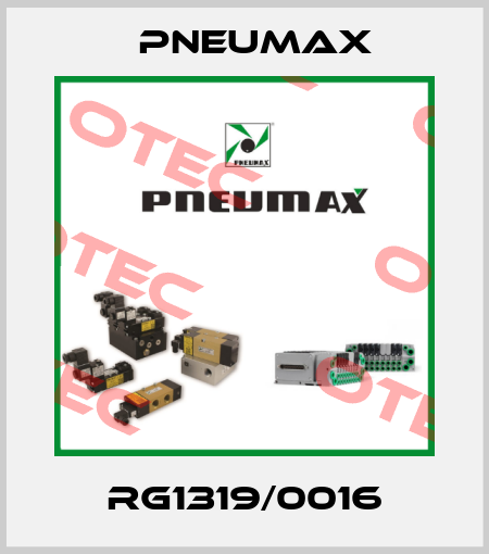 RG1319/0016 Pneumax