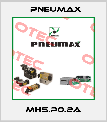 MHS.P0.2A Pneumax