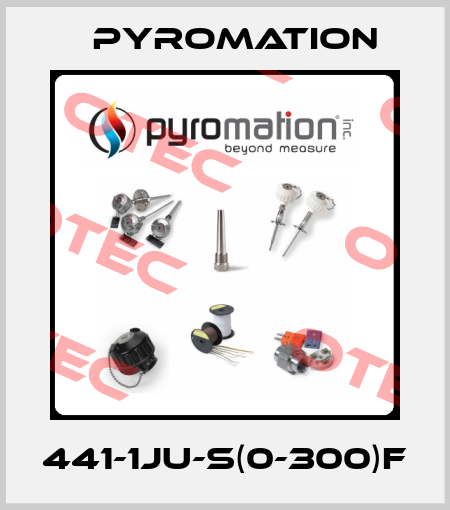 441-1JU-S(0-300)F Pyromation