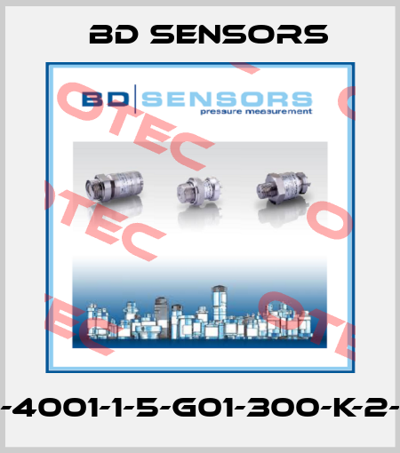 590-4001-1-5-G01-300-K-2-000 Bd Sensors