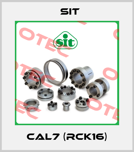 CAL7 (RCK16) SIT