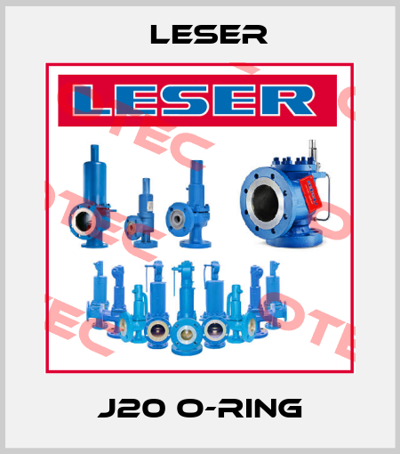 J20 O-Ring Leser