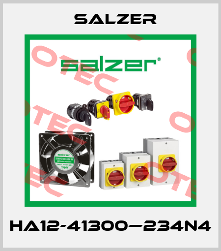 HA12-41300—234N4 Salzer