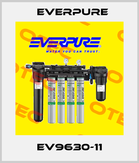 EV9630-11 Everpure