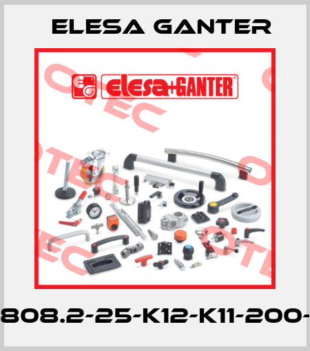 GN808.2-25-K12-K11-200-70 Elesa Ganter