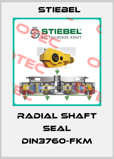 radial shaft seal DIN3760-FKM Stiebel
