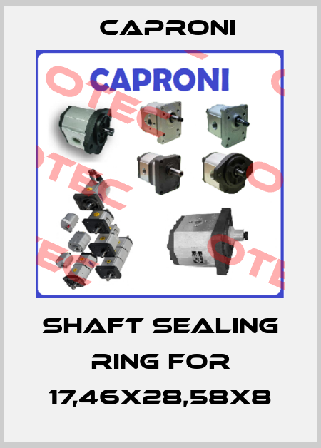 shaft sealing ring for 17,46x28,58x8 Caproni