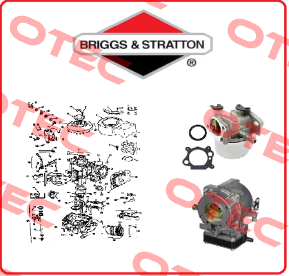 272403S Briggs-Stratton
