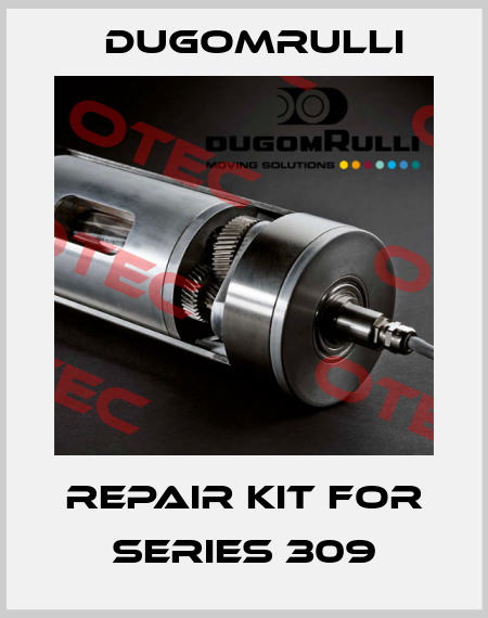 repair kit for Series 309 Dugomrulli