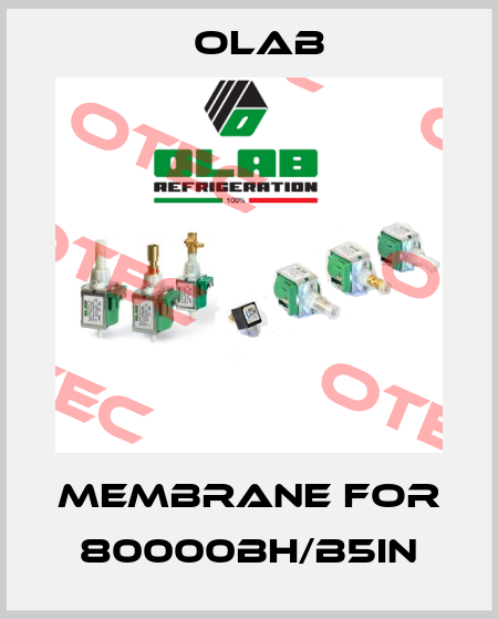 membrane for 80000BH/B5IN Olab