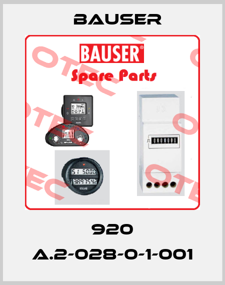 920 A.2-028-0-1-001 Bauser