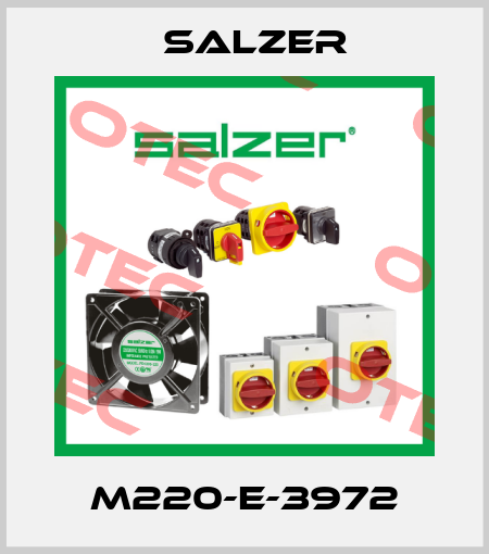 M220-E-3972 Salzer